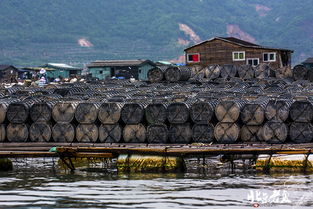 福建霞浦安东海上渔村 