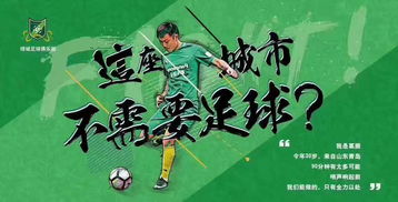 绿城 扎心 宣传文案 杭州这城市不需要足球 
