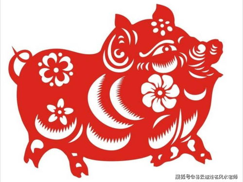 生肖猪12月4日到7日之间怎么赚钱 财富的机会在哪里