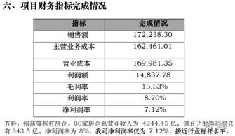 项目总结与后评估 复盘 报告模板样例 