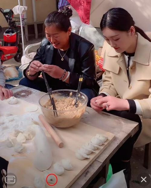 大衣哥全家包饺子,院中杂物堆积苍蝇横飞,儿媳动作娴熟被夸赞