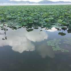 钱湖宾馆餐厅电话,地址,营业时间 