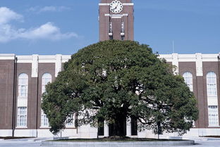 京都大学正门 搜狗图片搜索