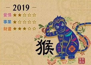 风水大师总结2019年十二生肖运程完整版