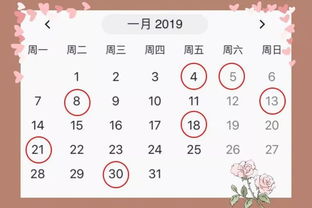 你点的 2019年黄道吉日表 已到, 快快享用吧 