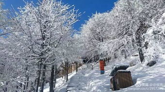 不下雪的春天不算太白山