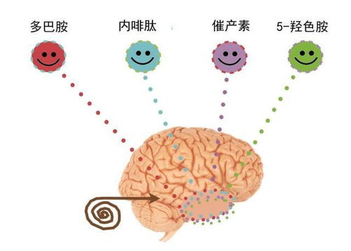 那些对成人视频上瘾的人,最后都怎样了 共同拒绝互联网纵欲时代