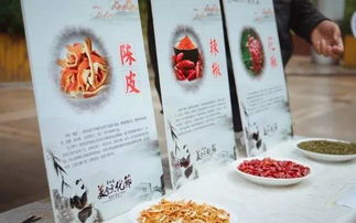 舌尖上的巴蜀 川菜美食文化节与你相遇 