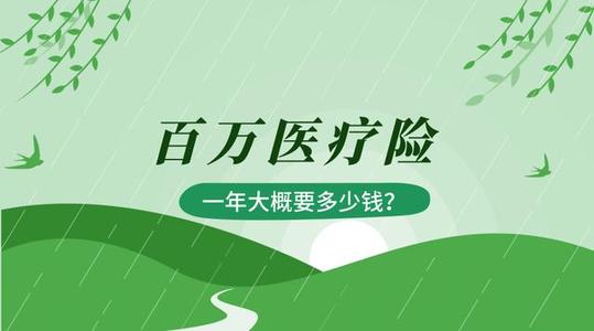 民生保险的百万医疗保险,民生保险险种介绍