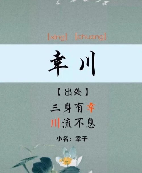 宝宝起名取名字 为官从政,寓意才华横溢的男孩名字