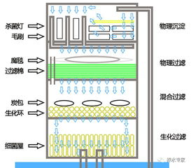 滴流怎么弄好看点 滴流盒过滤泵怎么选择