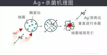 银离子有哪些特点？