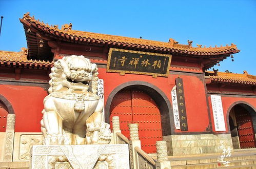 石家庄香火不绝的四座寺庙,历史悠久,环境清幽,看看你都来过吗