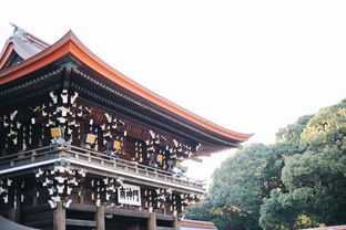 Tokyo,在冬日暖阳下且听风吟