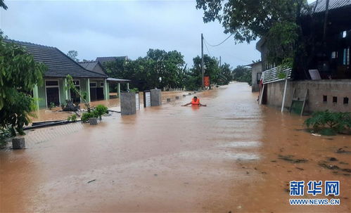 越南中北部暴雨和洪水致5人死亡
