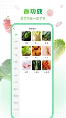 有机蔬菜大全安卓版app下载 有机蔬菜大全手机版下载v1.0.2 IT168下载站 