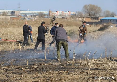 专家建议 必须不动摇禁止焚烧秸秆,官方发文,释放了什么信号