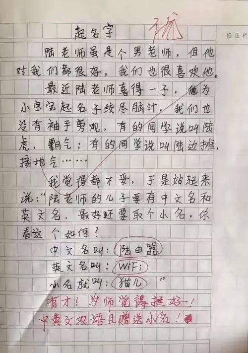 还有谁能阻止10后 小学生作文 起名字 火了,老师 逗我玩呢