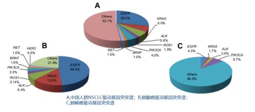 肺癌为什么需要基因检测