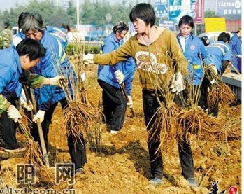 2014年5月栽种黄道吉日