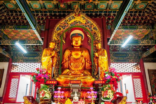 武汉最灵验的寺庙 每逢初一十五游人如织,烧香拜佛求子数罗汉