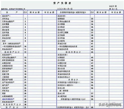 如何看懂财务报表 要详细的网站最好