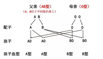 滴血认亲,怎么就认到了隔壁老王家的孩子