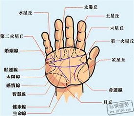 手相 非常运势算命网,算命最准的网站 