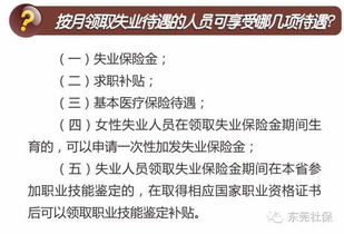 社保交一年能领多少失业金(崆峒区失业保险金领取标准)