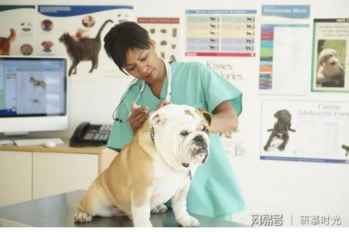 狗狗要打什么疫苗 四种核心疫苗 非核心疫苗听宠物医生建议打