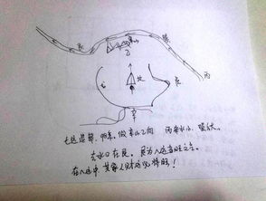 旺山旺向能收纳旺气就是好风水的房子 