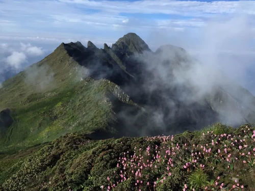 守护苍山五溪 治理工程暂停,多方努力朝向生态修复共识