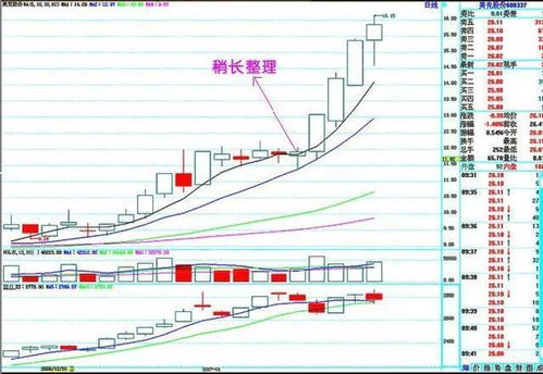 股票交易中，每买进或卖出一种股票，都必须按成交金额的0.35%缴纳手续费。