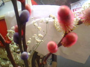 一个一个交替的，有红色的也有紫色的，这是什么花呢？