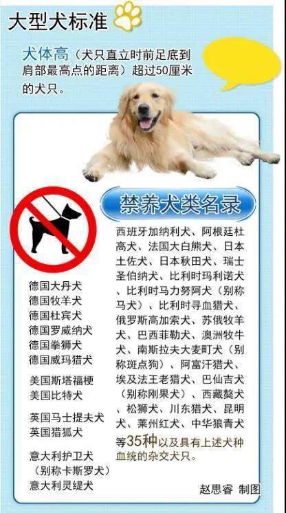汉中养犬管理条例出炉 这些你需要注意