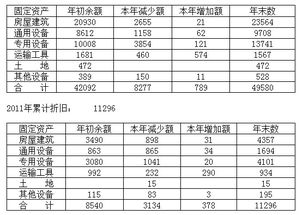 年度会计报表审计指的是什么？