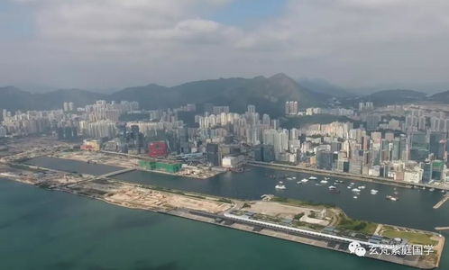 香港风水分析大集,石龟落海经济没落,一切都在冥冥之中计划着