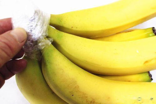 香蕉可以放冰箱保存吗香蕉怎么保存才好「香蕉可以放冰箱保存吗香蕉怎么保存才好」