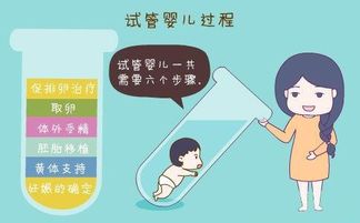 试管婴儿促排期间需注意哪些事项？