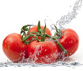 动感水花与番茄设计素材 高清PSD图片素材 650 562像素 90设计 