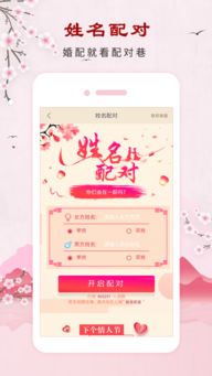 生辰八字取名合婚app下载 生辰八字取名合婚手机版下载 手机生辰八字取名合婚下载安装 