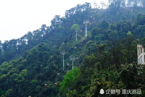 重庆主城5条特色索道,渝中区的人气最旺,北碚区的总是被人忽略