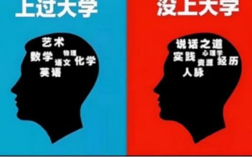 上没上大学真的会造成这么大的差异吗