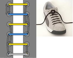 你会几种系鞋带的方法 组图 