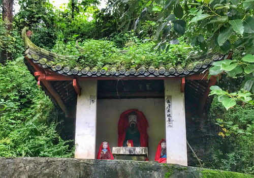 成都与世隔绝的仙山道观,路虽难走却风景极好,外界几乎无人知