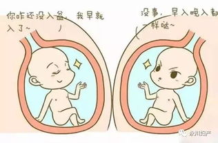 孕晚期,胎儿什么时候会入盆