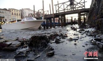 水城威尼斯罕见严重缺水 贡多拉船搁浅陷淤泥 4
