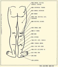 脚的部位名称图和图片 搜狗图片搜索