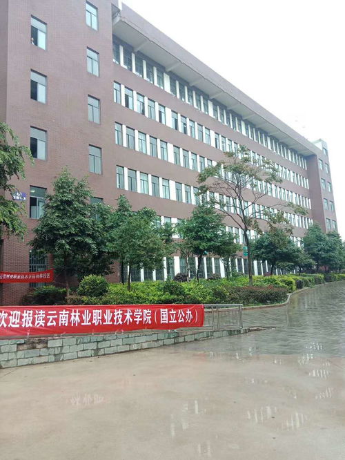 专科学校排名公办云南省,云南公立专科学校排名(图2)