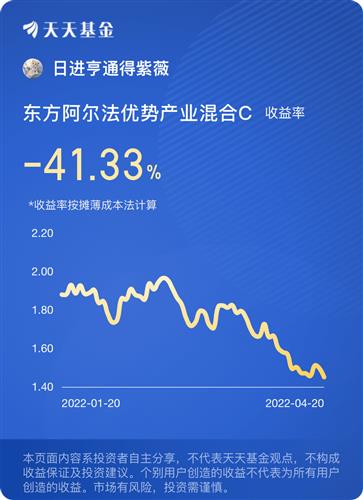 有经验的朋友，帮我解释一下那个外汇基金是什么股票吧？